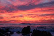 images/album/landscapes and nature/8.jpg